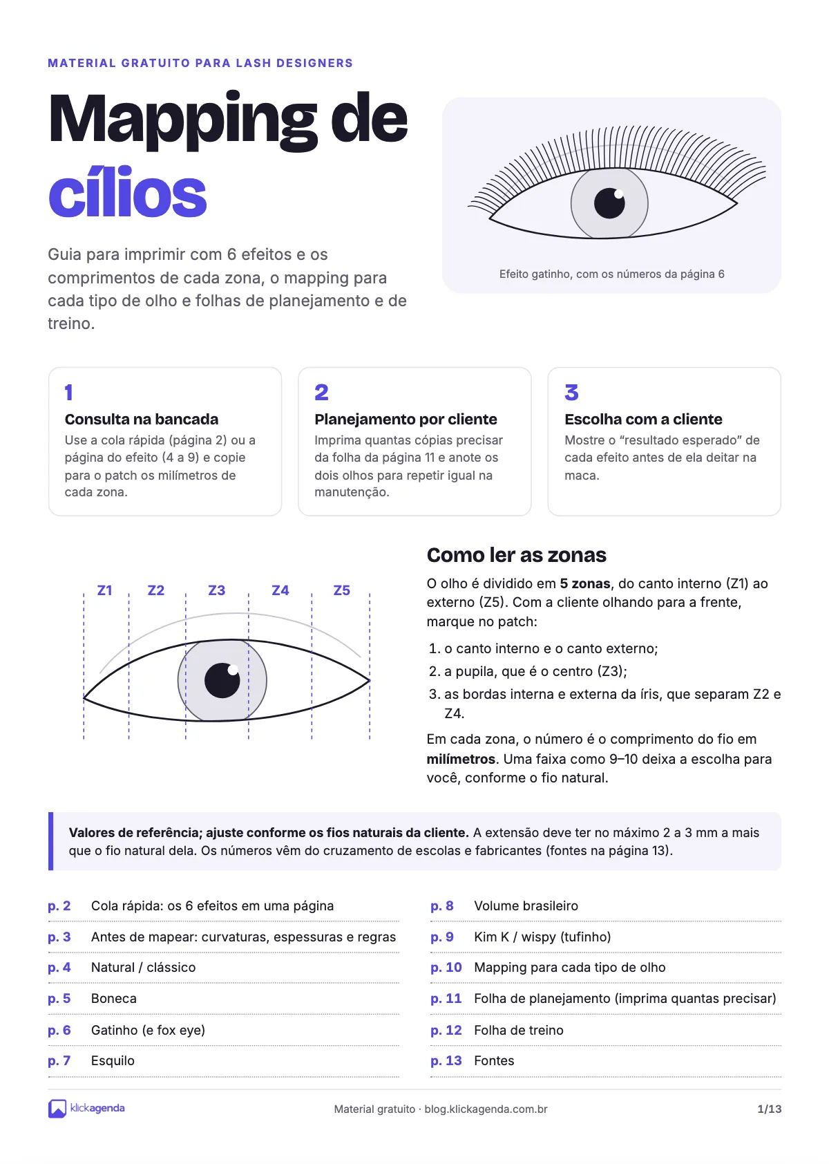 Prévia do mapping de cílios em PDF com os efeitos e as zonas do olho